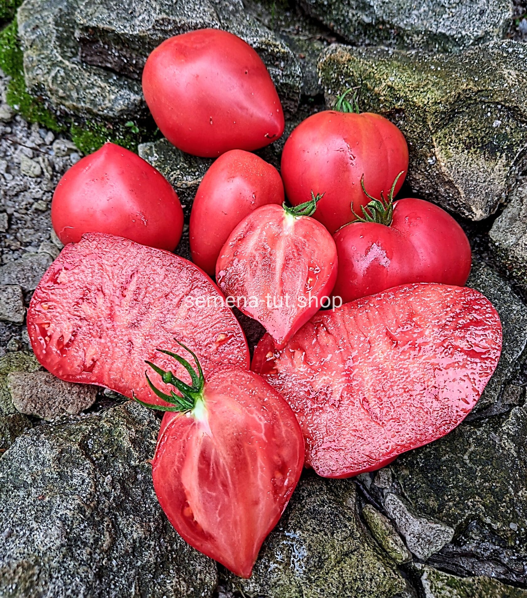 Томат Японка семена