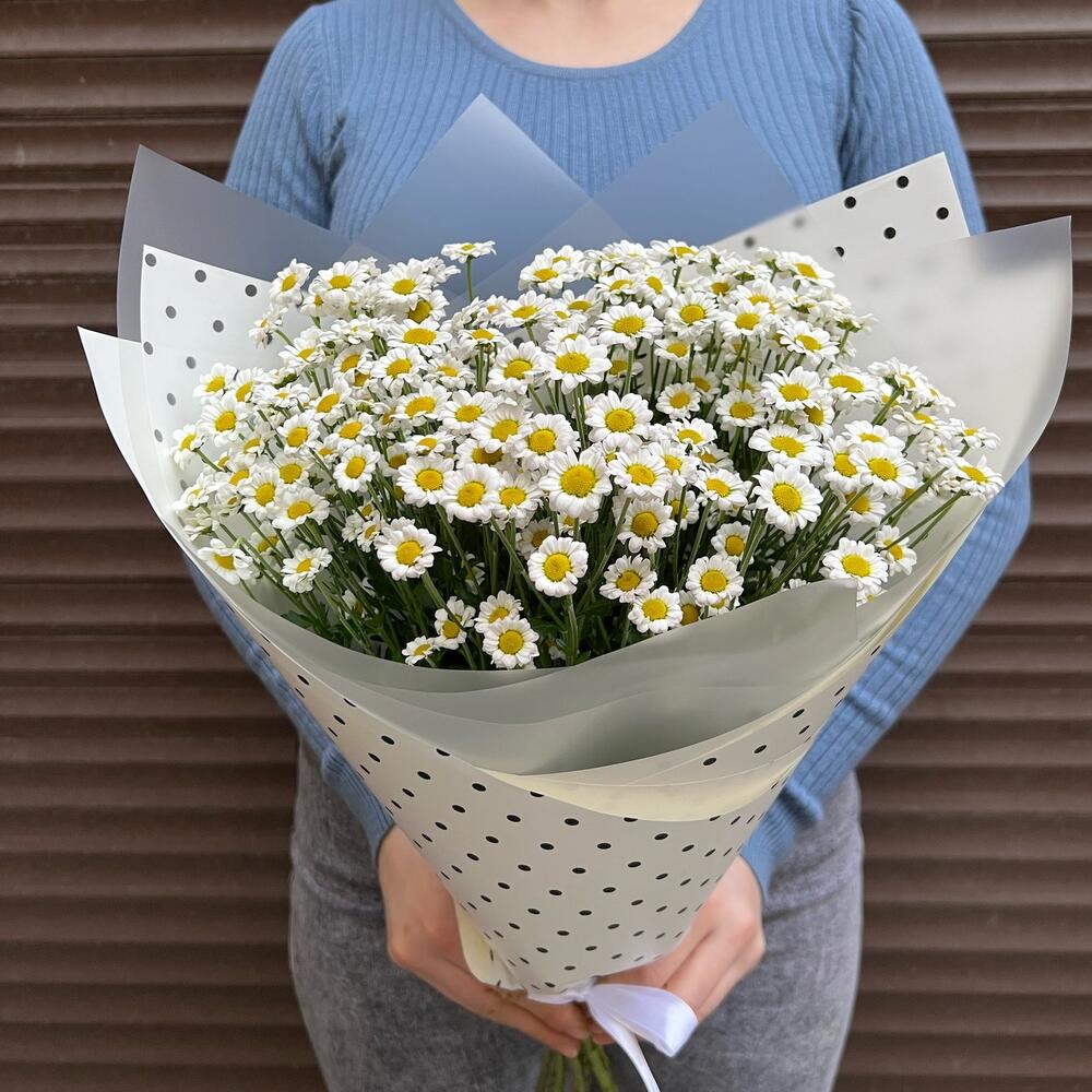 Букет из 7 ромашек (ромашковая хризантема) (моно 049)