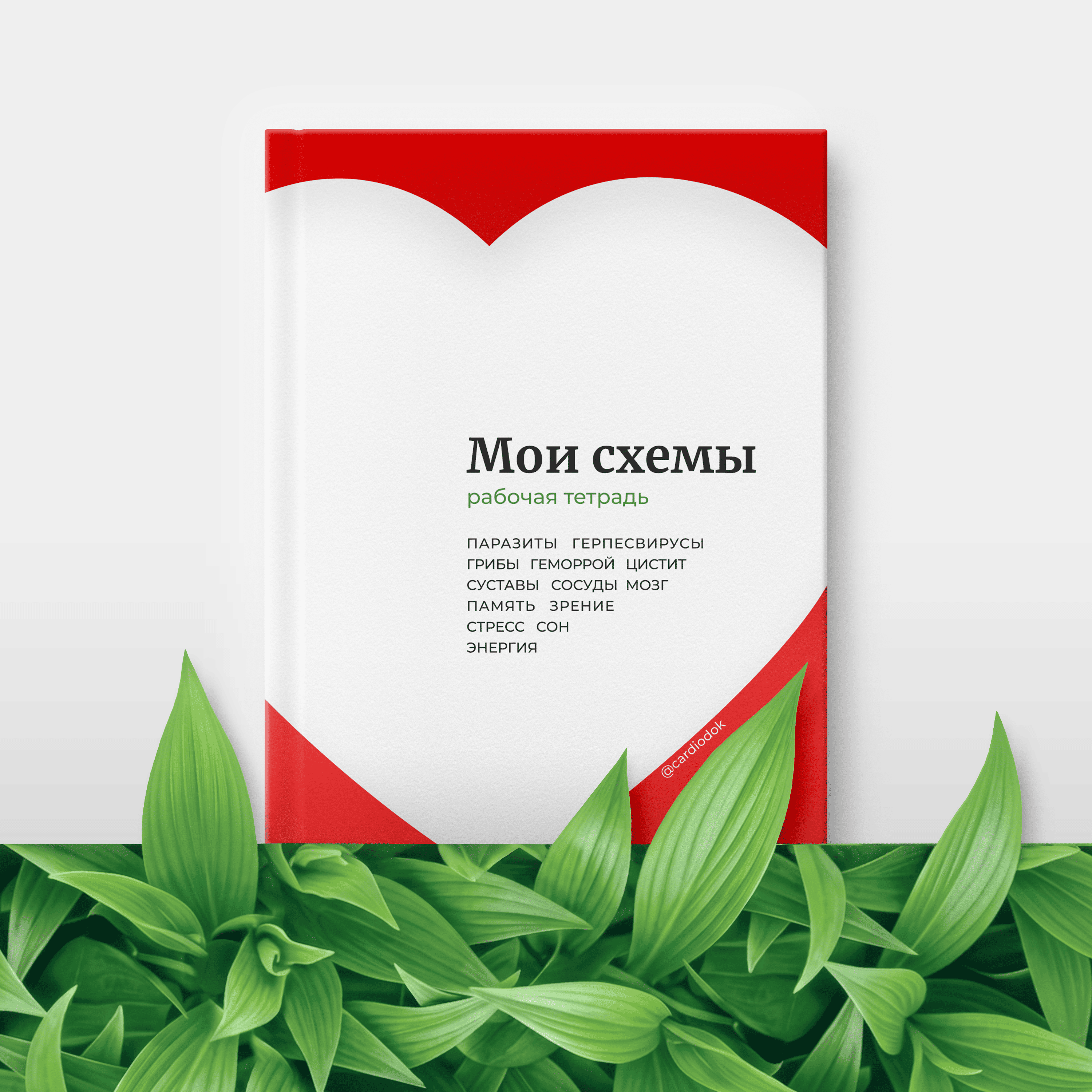 Рабочая тетрадь Мои схемы