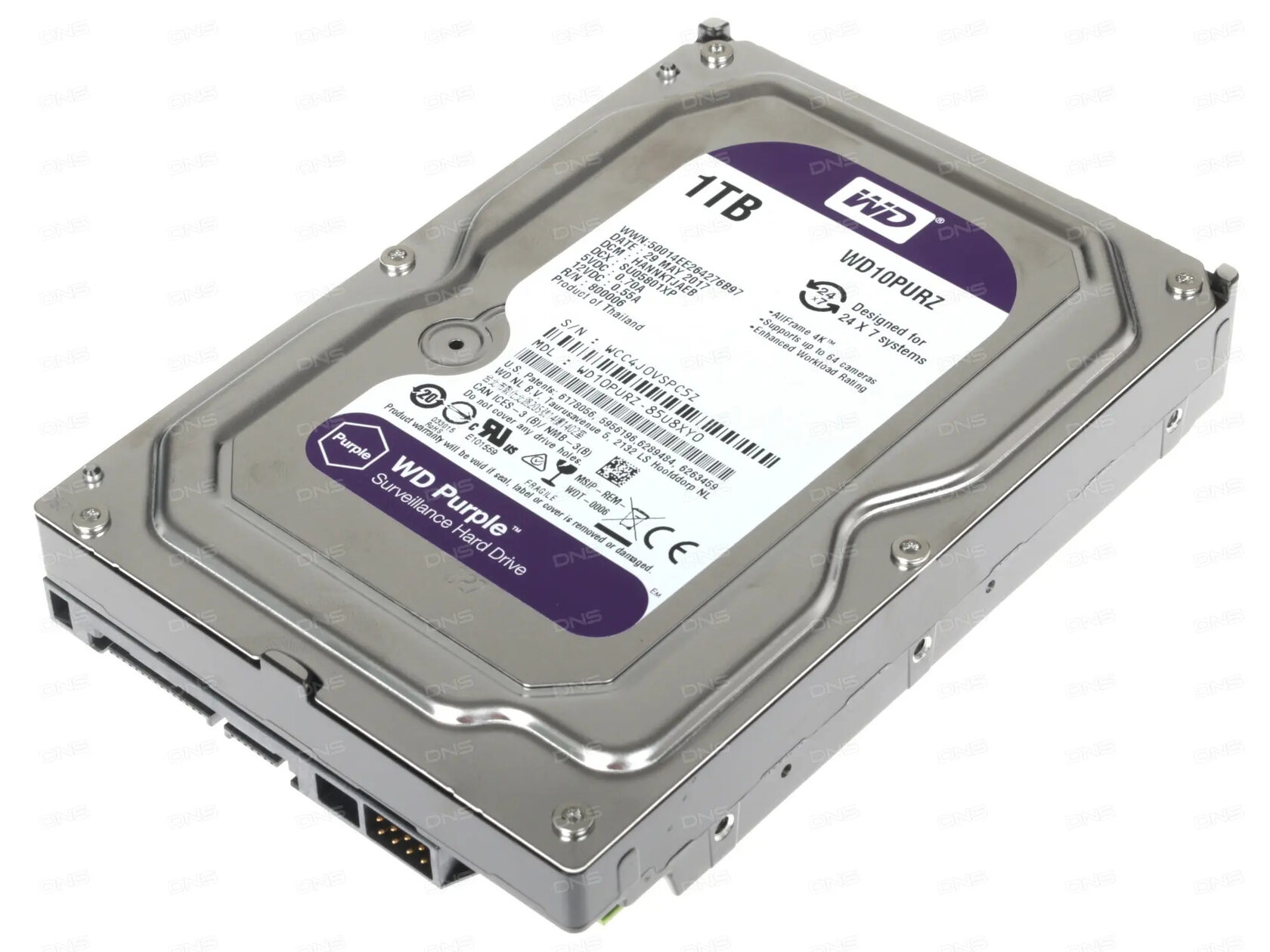 Wd10purz purple