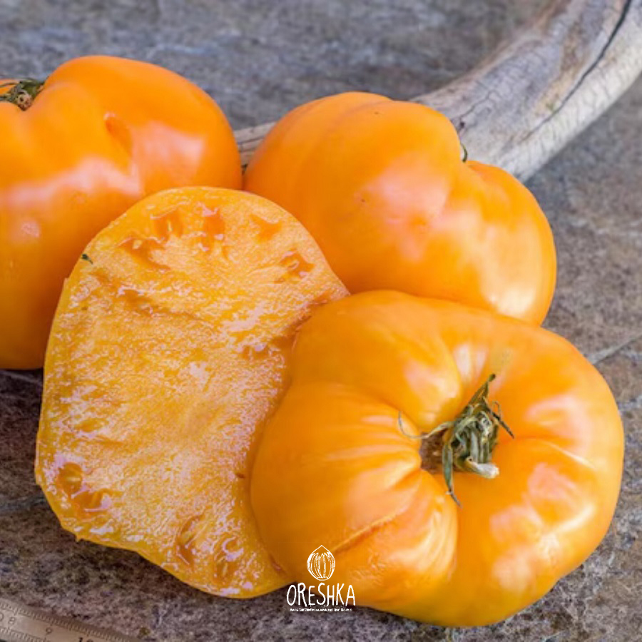 Seeds of Tomato Heart of Ashgabat (solanum lycopersicum) — 10 pcs