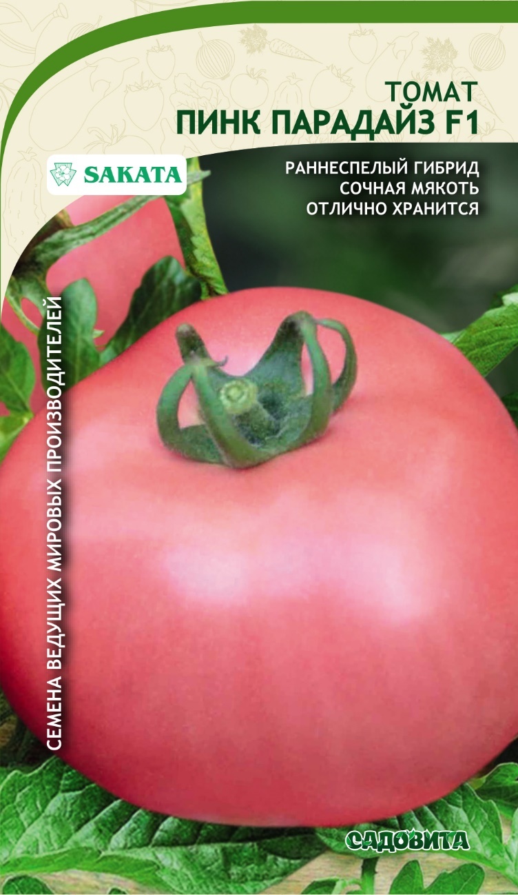 Томат пинк парадайз описание. Томат Пинк Парадайз семена. Томат Пинк Парадайз f1. Помидоры сорт Пинк Парадайз. Томат розовый Пинк Парадайз.