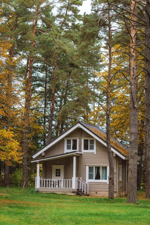 Comfort Pine River