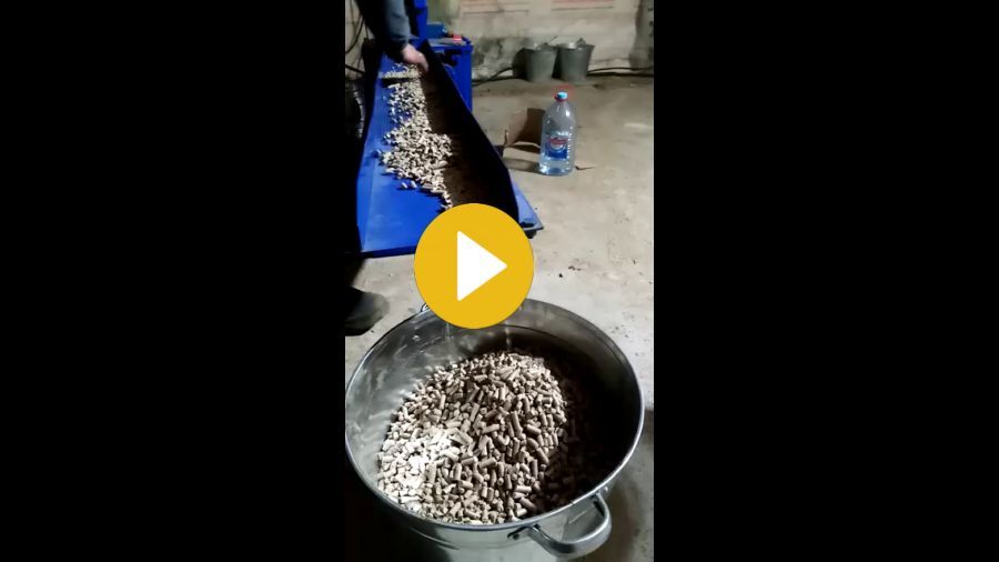 Видео работы пресс-гранулятора на Rutube