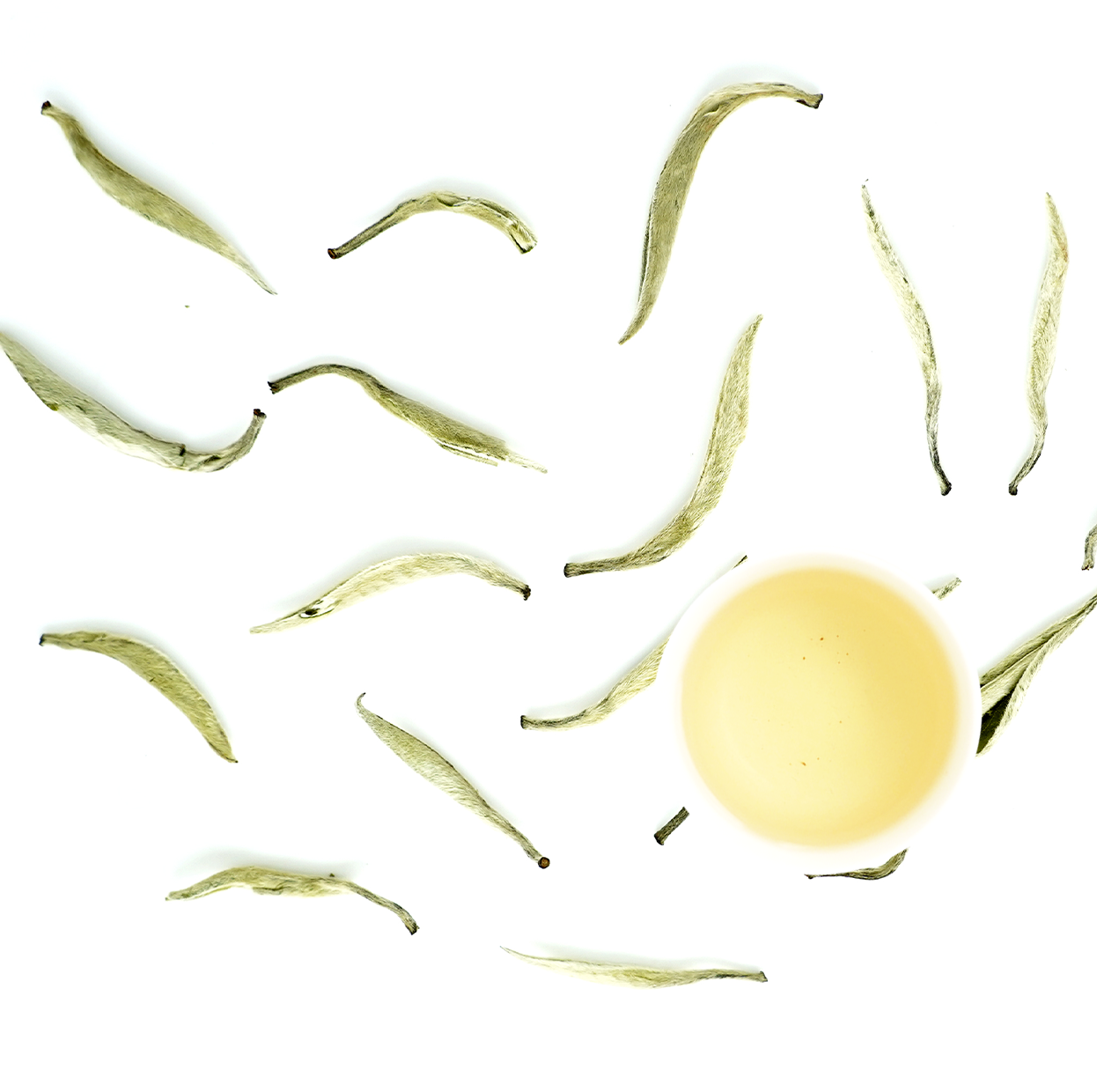 большие почки из Юньнань 2025