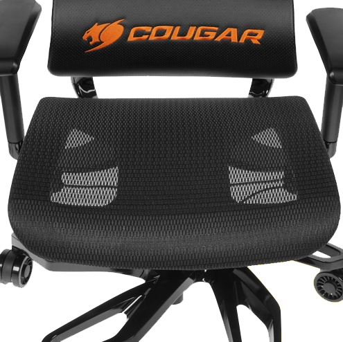 Cougar argo one