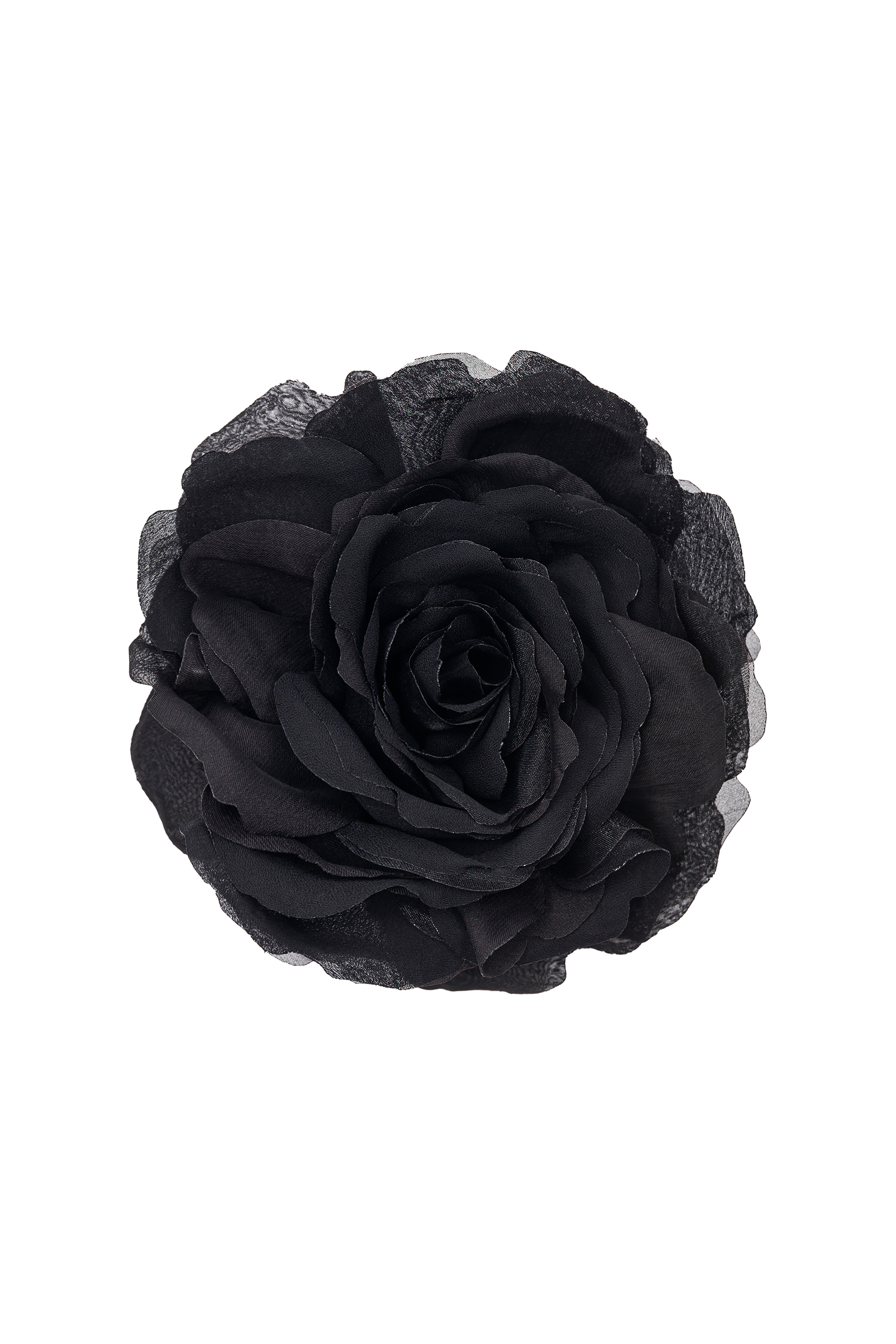 черная роза стим фото 42