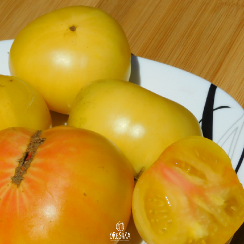 Seeds of Tomato Cantati 3 (solanum lycopersicum) — 10 pcs