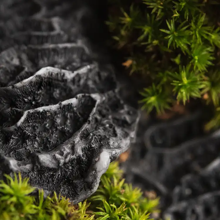 Ароматическое масло Черный коралл и мох (Black Coral and Moss) от Candle Science