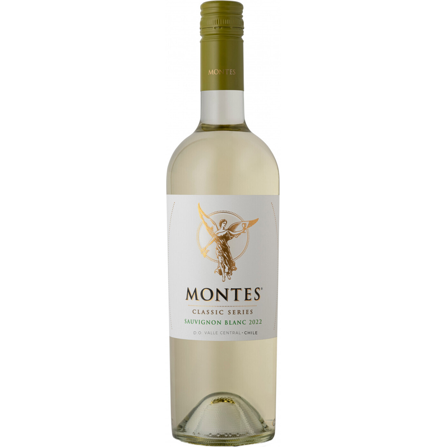 Вино андес аура чили белое полусухое. Sol de Andes Sauvignon Blanc. Сол де Андес Чили. Мас Андес Совиньон Блан. Сол де Чили вино