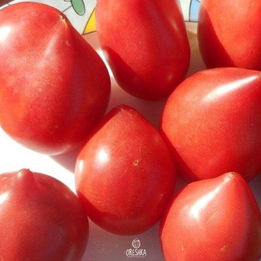 Japanese tomato heart-shaped pointed crimson red large fruit vine