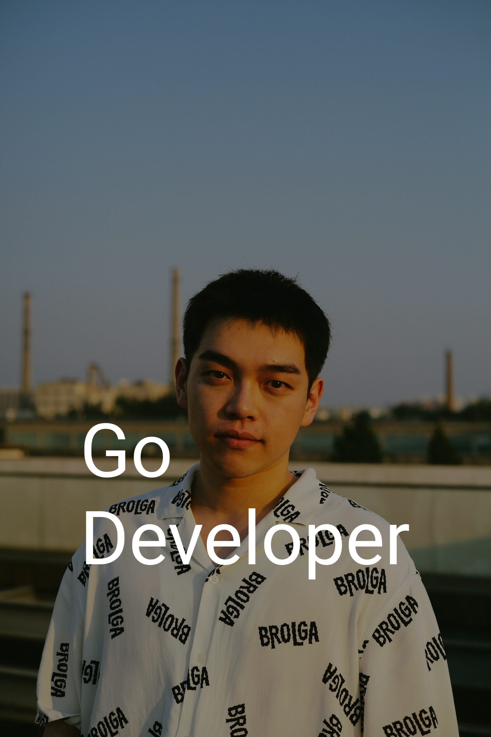 Обложка курса Go-разработчик