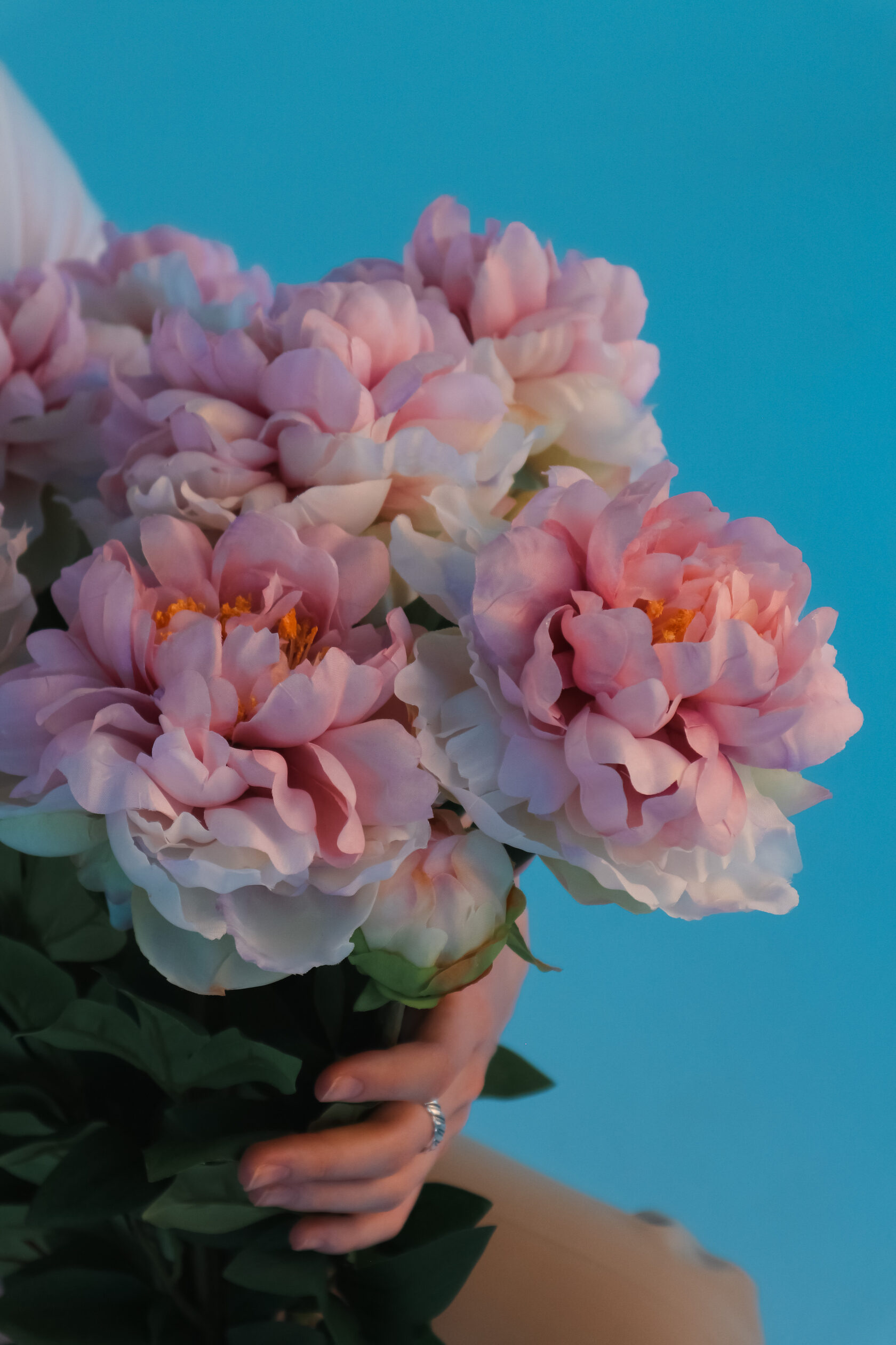 Пион Декоративный БЕЛО-РОЗОВЫЙ, 1 ветка - 90 см