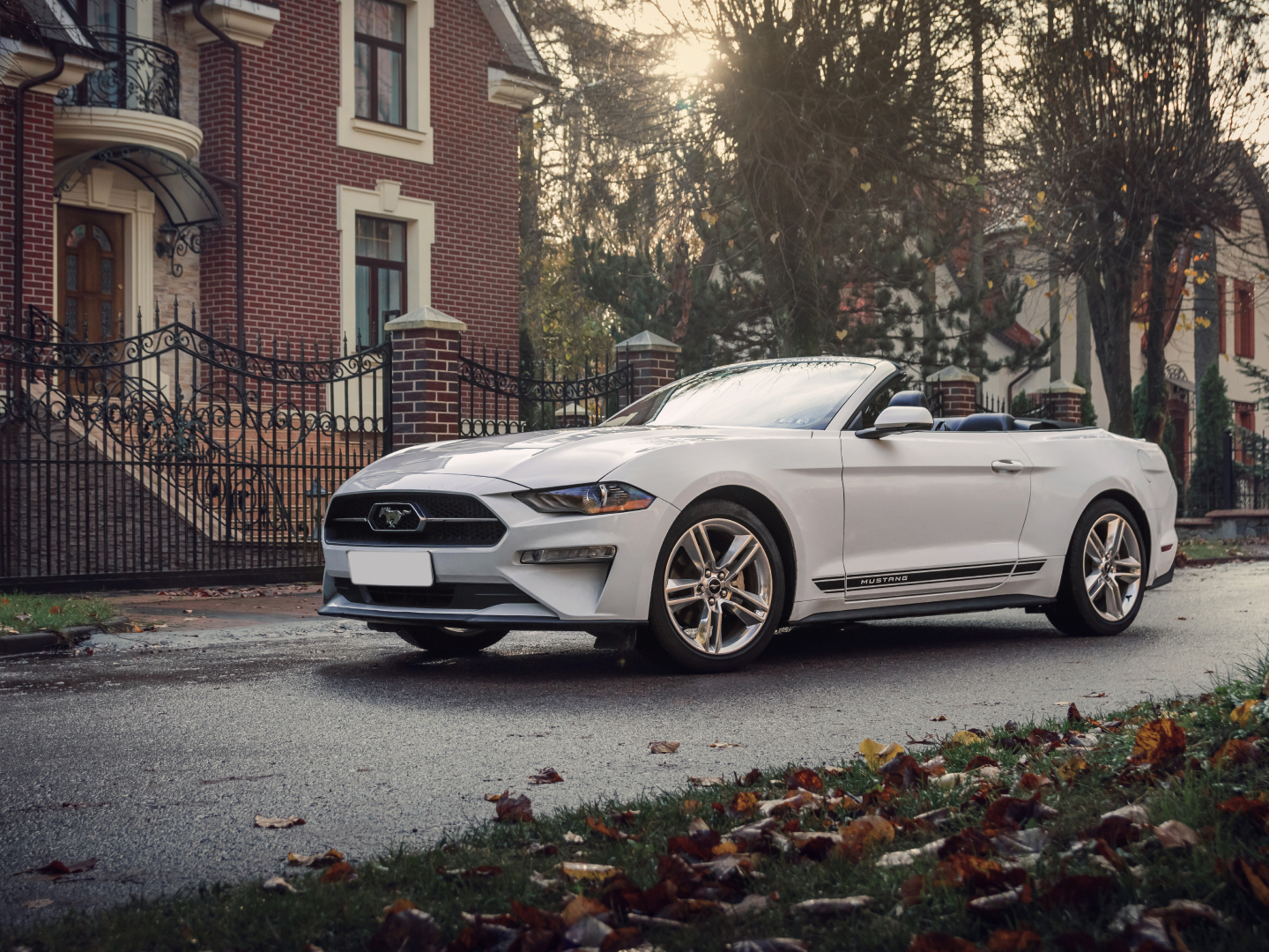 Прокат кабриолета Ford Mustang в г.Калининград Без водителя