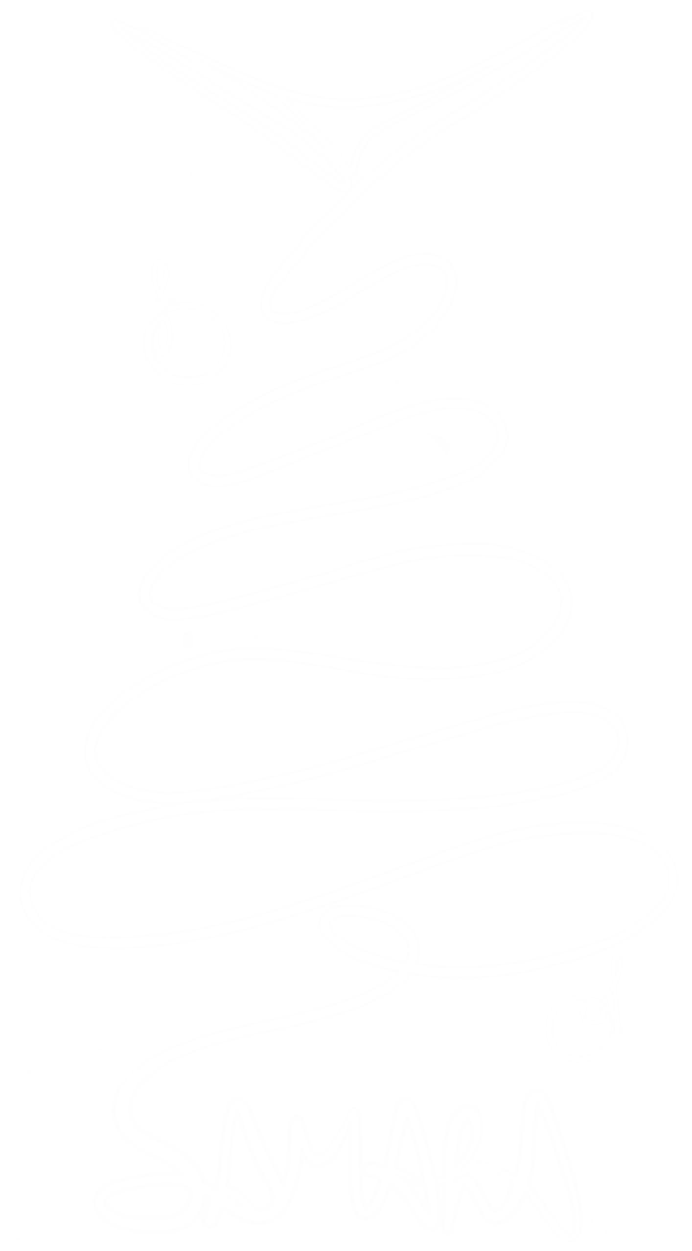 НГ пак | bol | IMG 2631