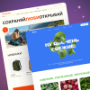 Профессия Веб-дизайнер. Тариф Оптимальный