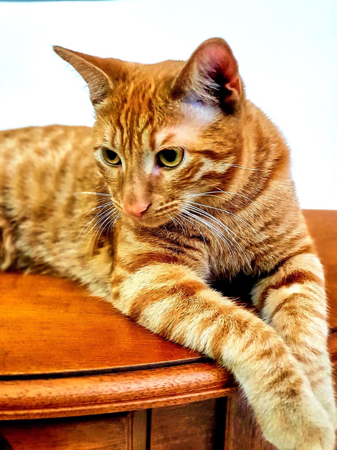 Консоль  Miranda&Serena   H834 (D71)  