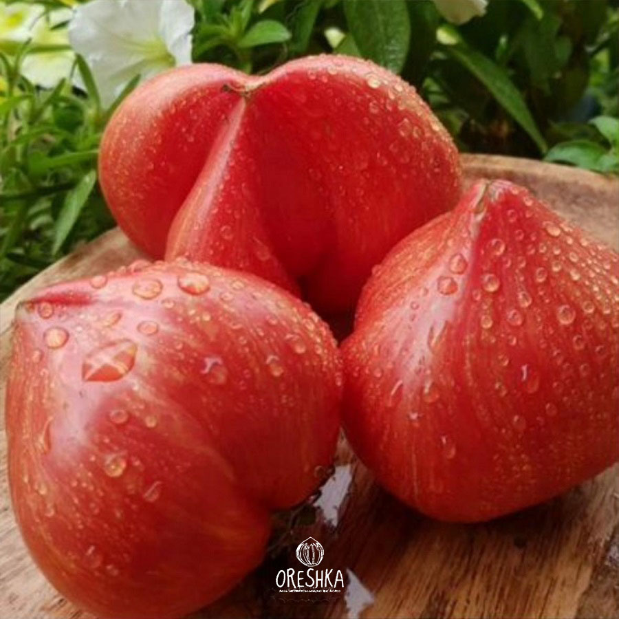 Crushed Heart tomato sauce paste ketchup processing fleshy pink flesh