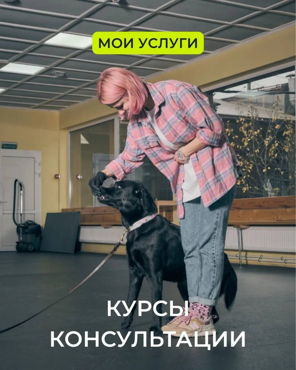 doggy__bloggy