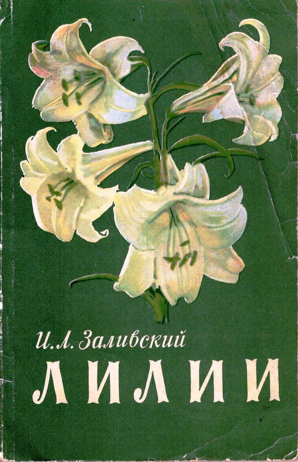 Лилия книга. Книга лилии. Лилия Заливского. Книга в названии лилии. Пруд белых лилий книга.