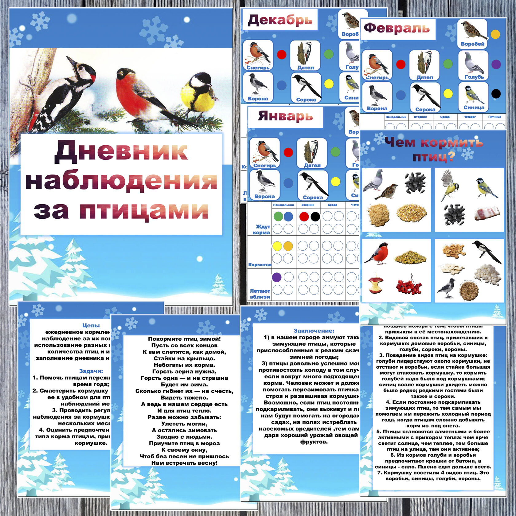 Дневник наблюдения за птицами