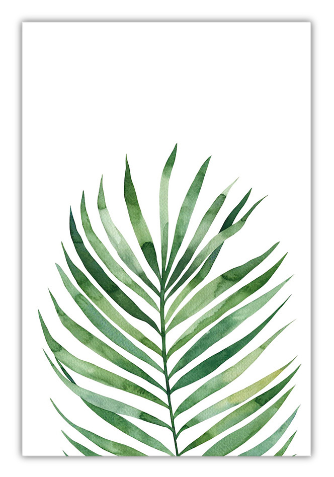 Aqua leaf