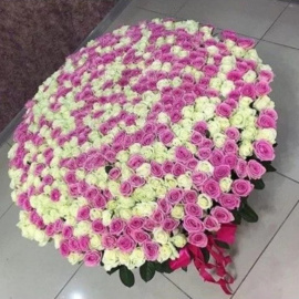 301 Роза Купить Недорого