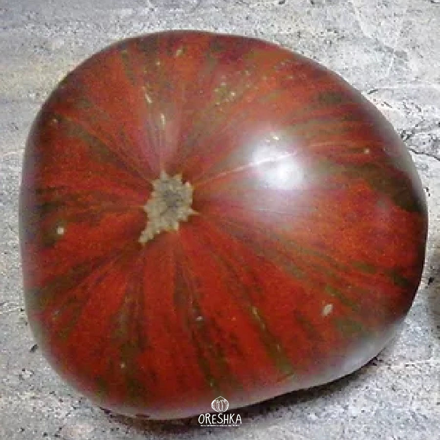 Seeds of Tomato Dwarf Dipper's Delight (solanum lycopersicum) — 10 pcs