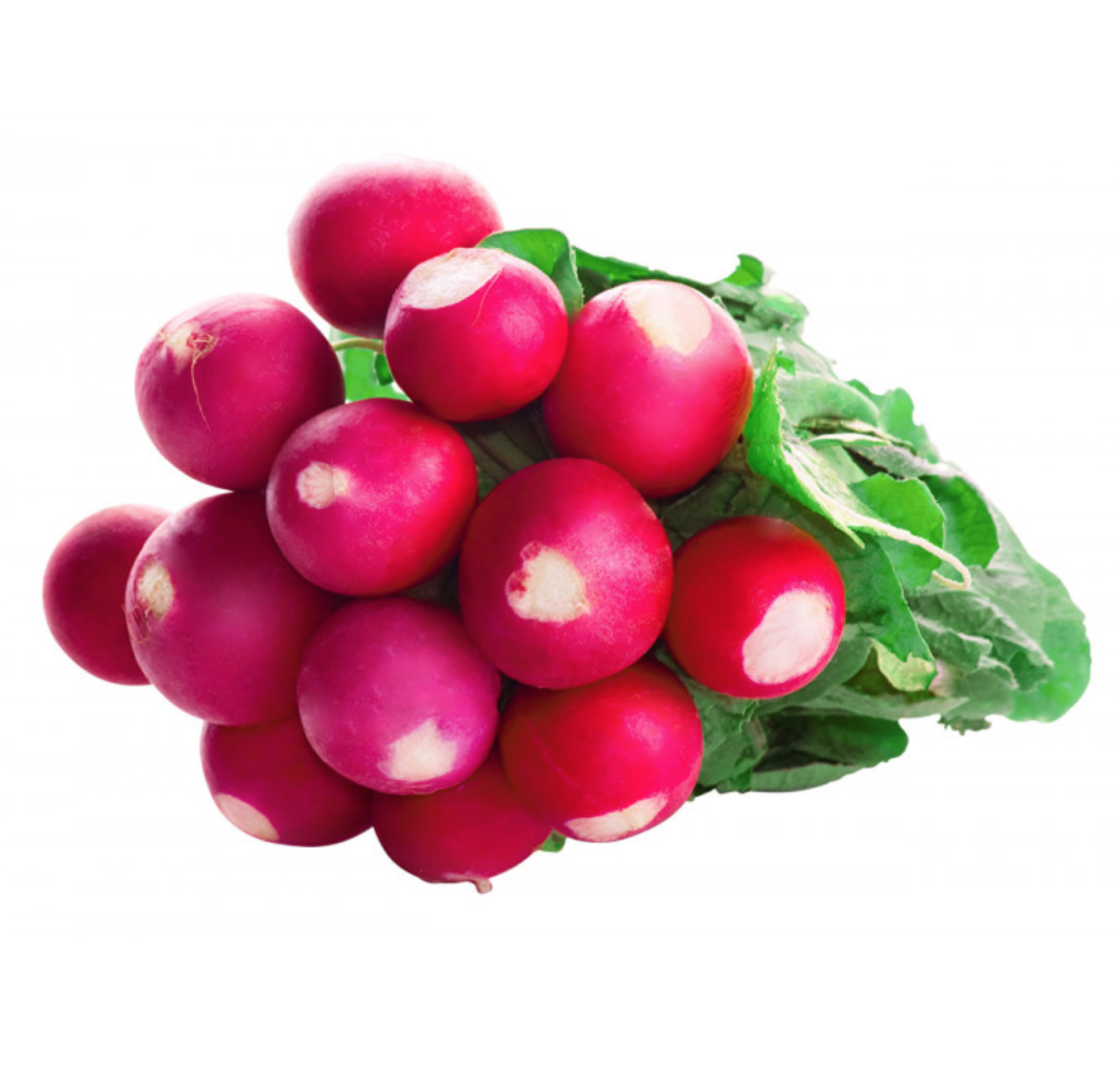 4. Редис красный 500г. Редис на белом фоне. Редис белок. Редис.