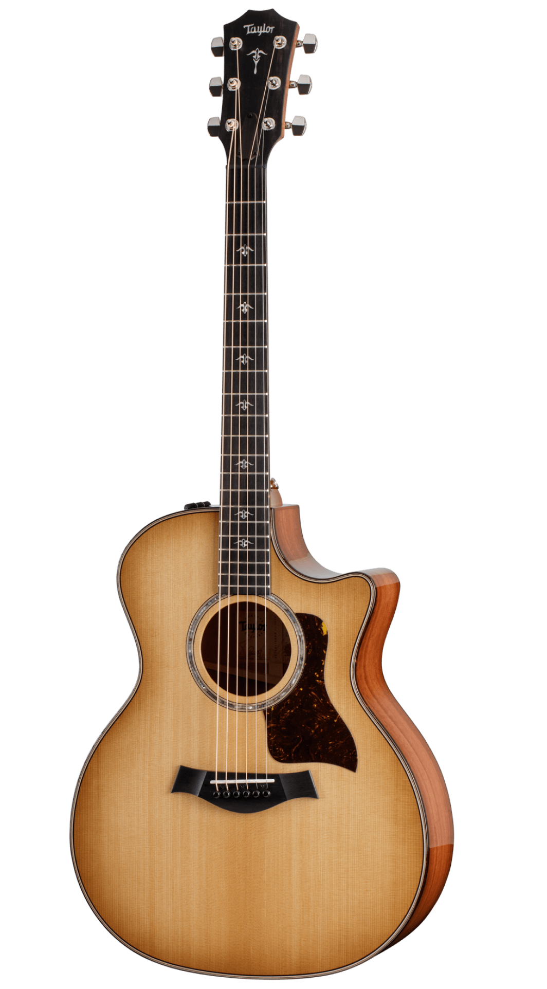 Электроакустическая гитара Taylor 514ce