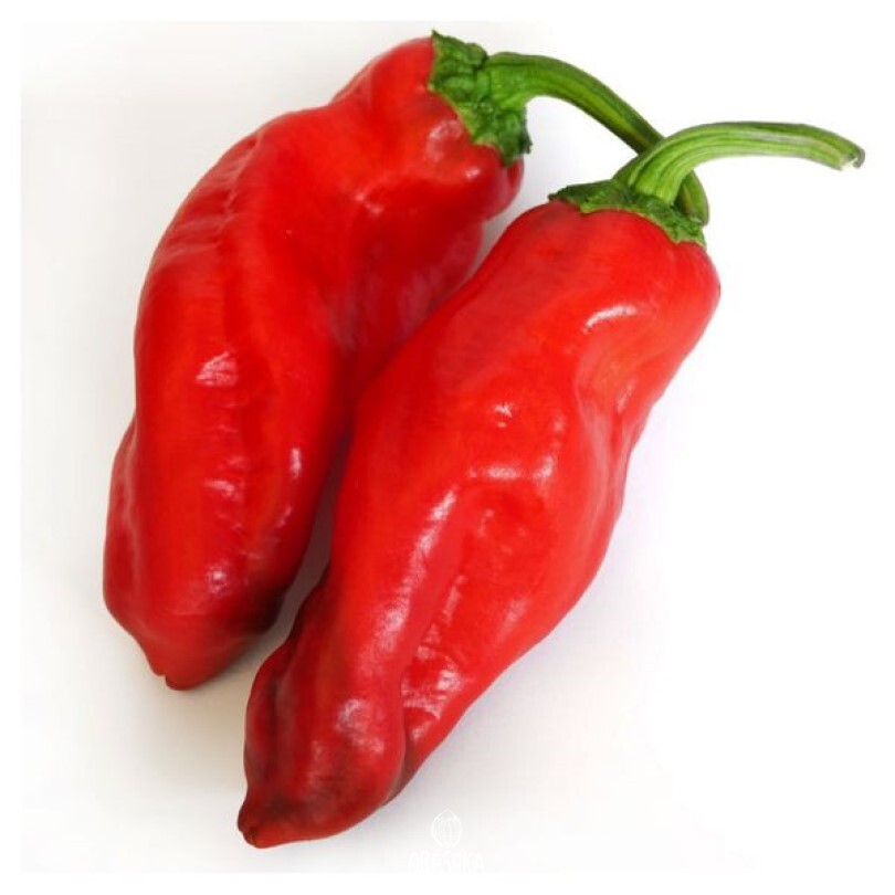 Seeds of Sweet pepper Matai (Capsicum) — 10 pcs