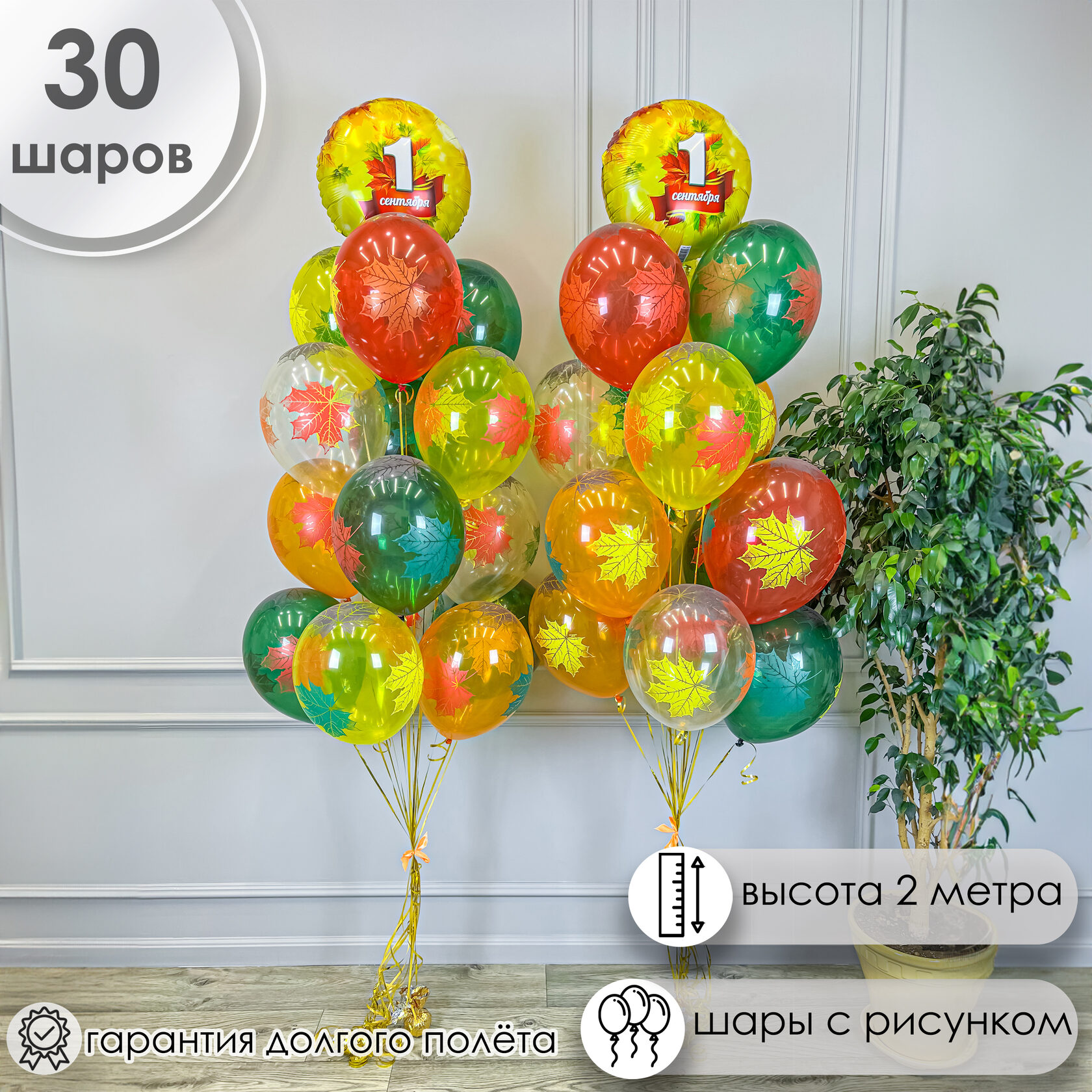 Фото класса с шарами 2 фонтана на грузике с шарами кленовые листья купить в Москве