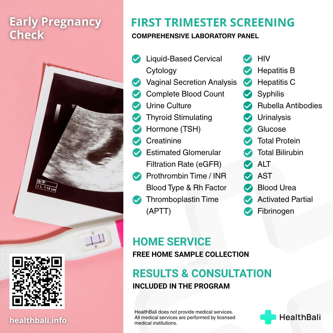 Early Pregnancy Check – 1st trimester (1-13 weeks)