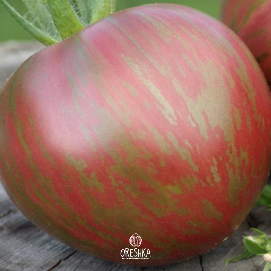 Seeds of Tomato ⁠Dark sunburst (solanum lycopersicum) — 10 pcs