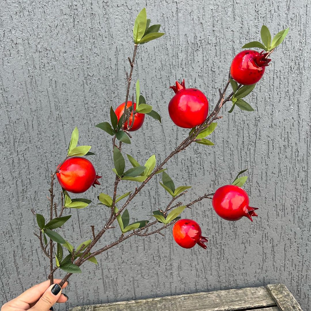 Ветка гранат