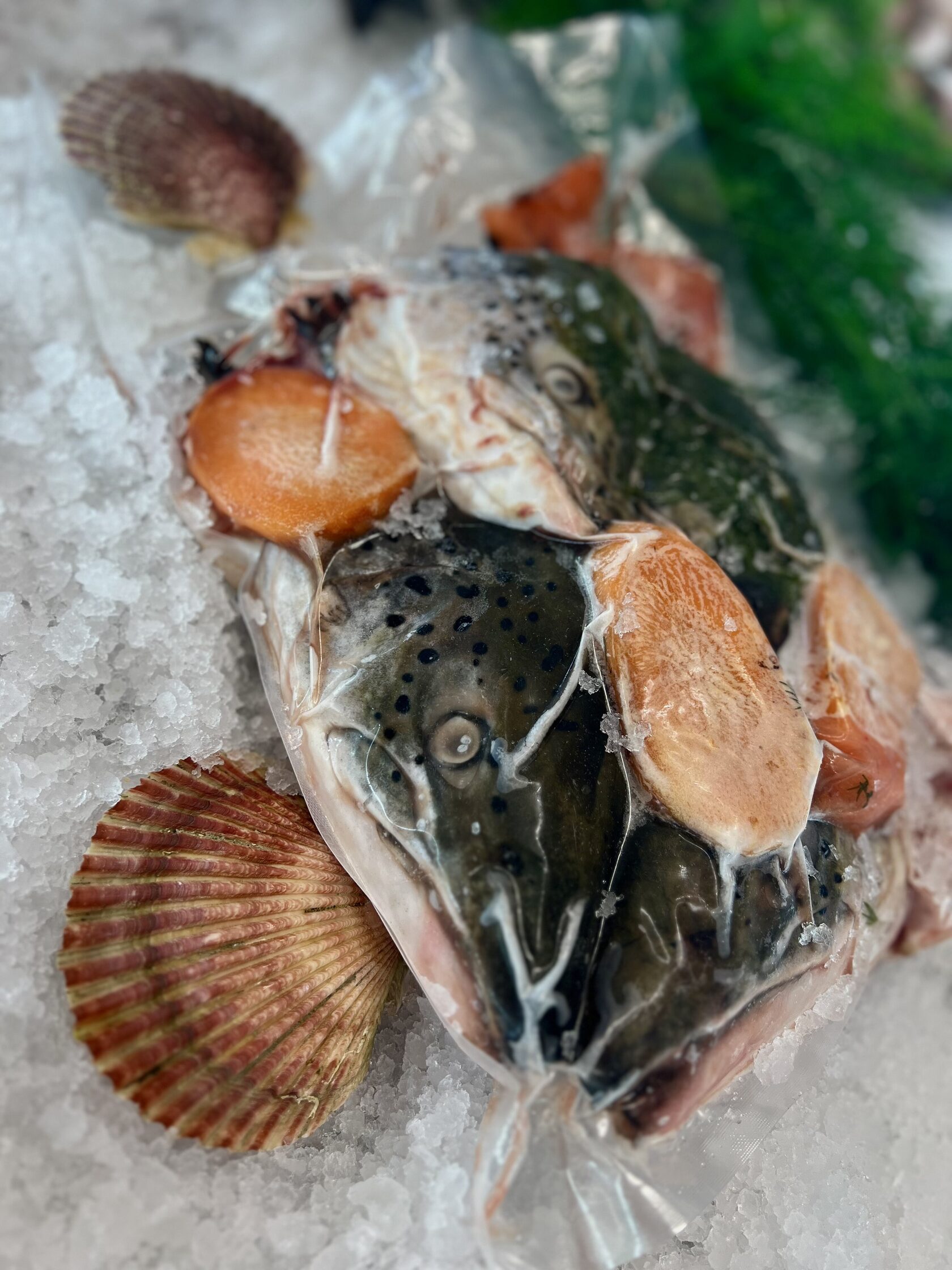 Набор Для Ухи Из Семги Купить