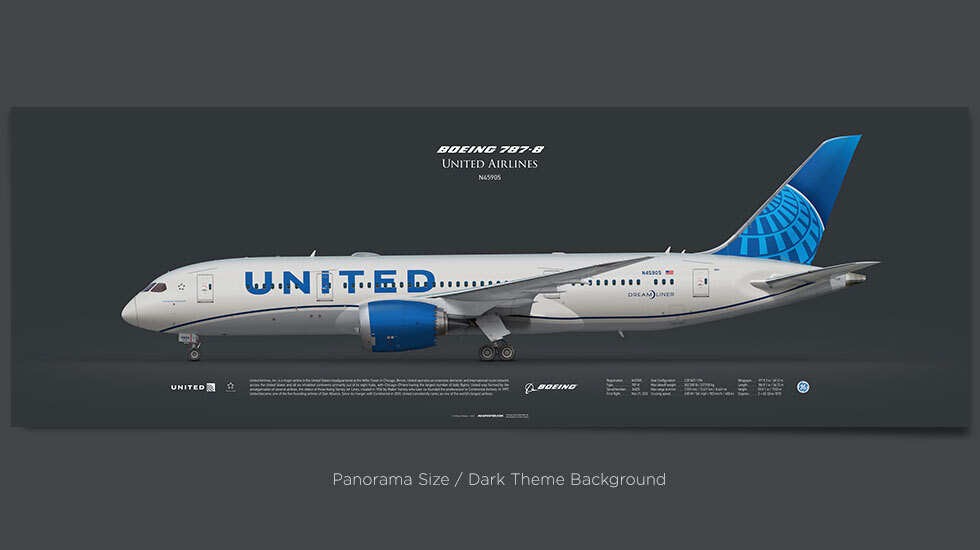 ユナイテッド航空 787-8 ドリームライナー N45905 1/400 NG59032_960x768.jpg