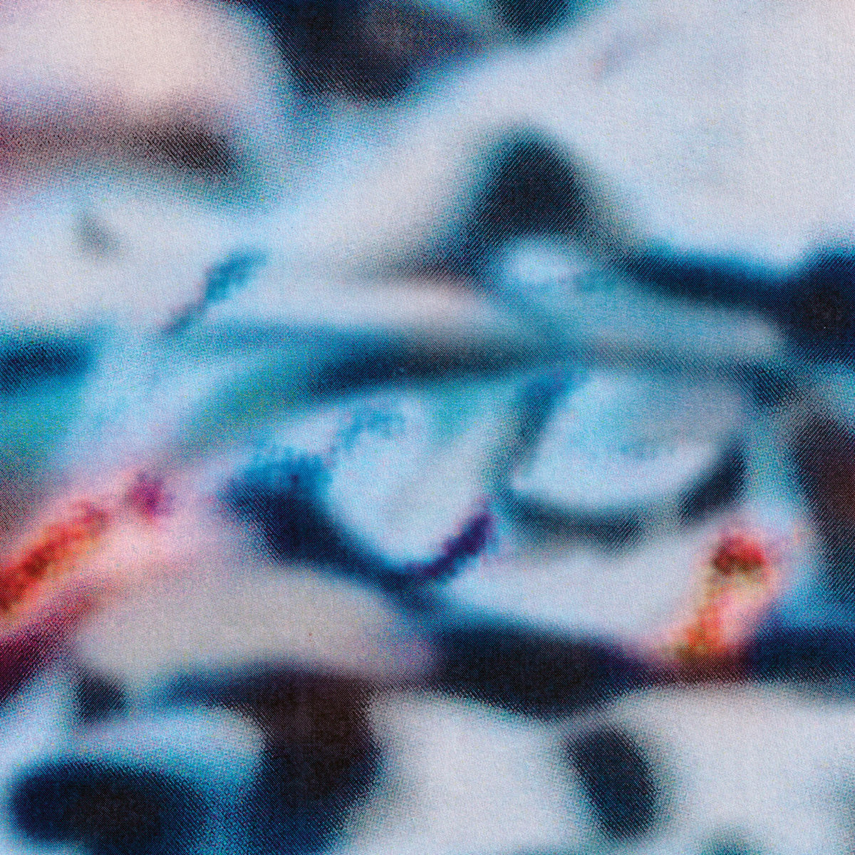 Shoal — Temporal Blend