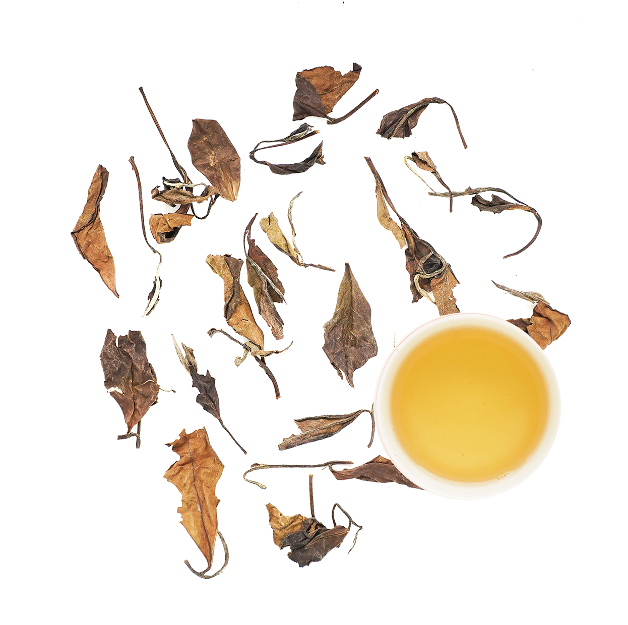 "медовуха" шоу мэй 2017