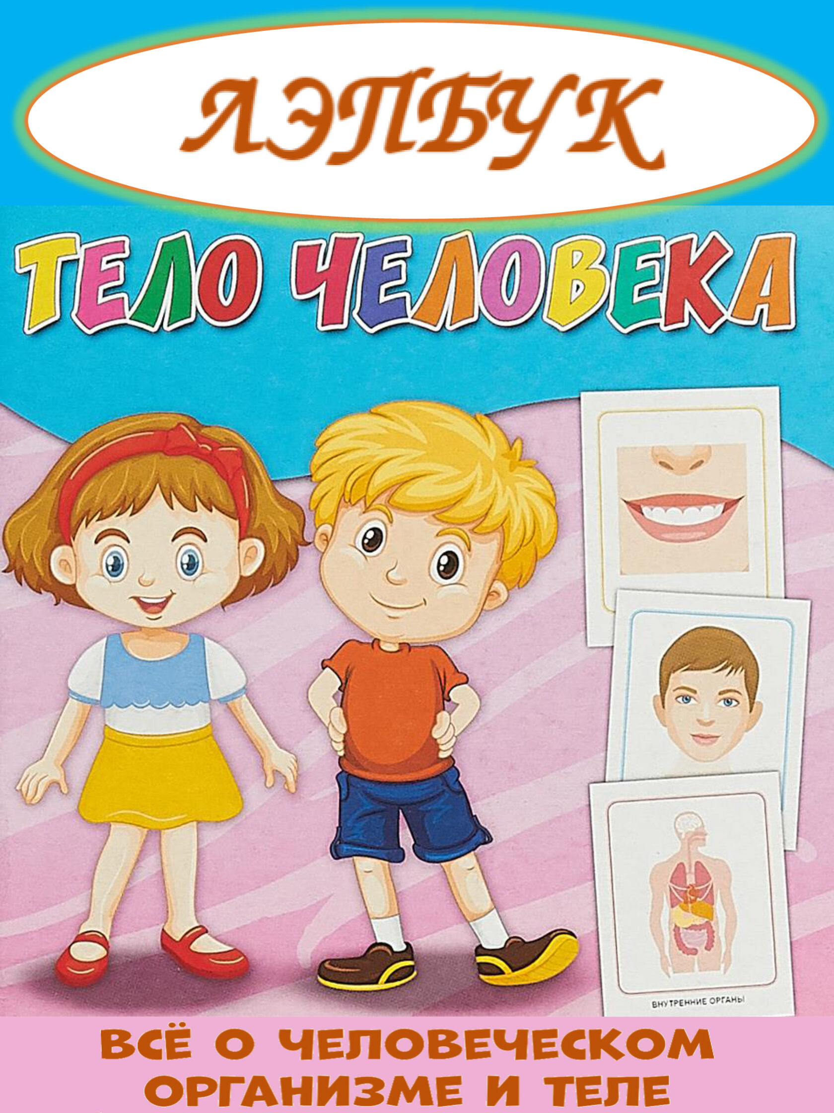 Лэпбук Тело человека