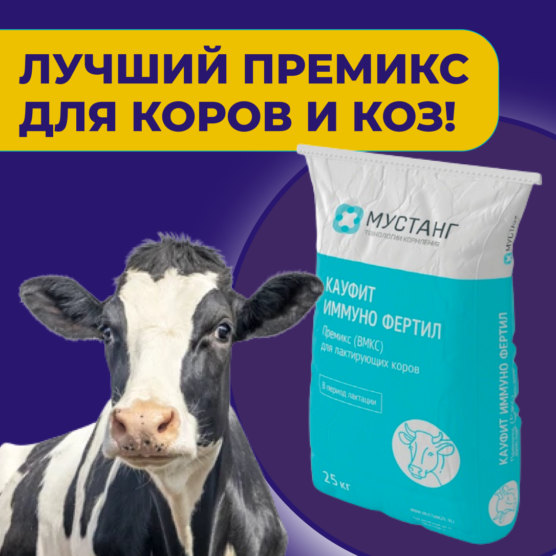 Кауфит мустанг. Кауфит мустанг. Кауфит иммуно фертил мустанг. Кауфит мустанг. Энергетические добавки для крс.