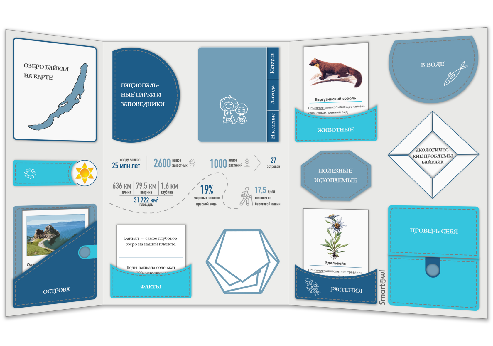 Лэпбук на тему озеро байкал. Лэпбук на тему рыбы. Лэпбук байкал. Лэпбук коробка озеро байкал. Лэпбук байкал жемчужина сибири.