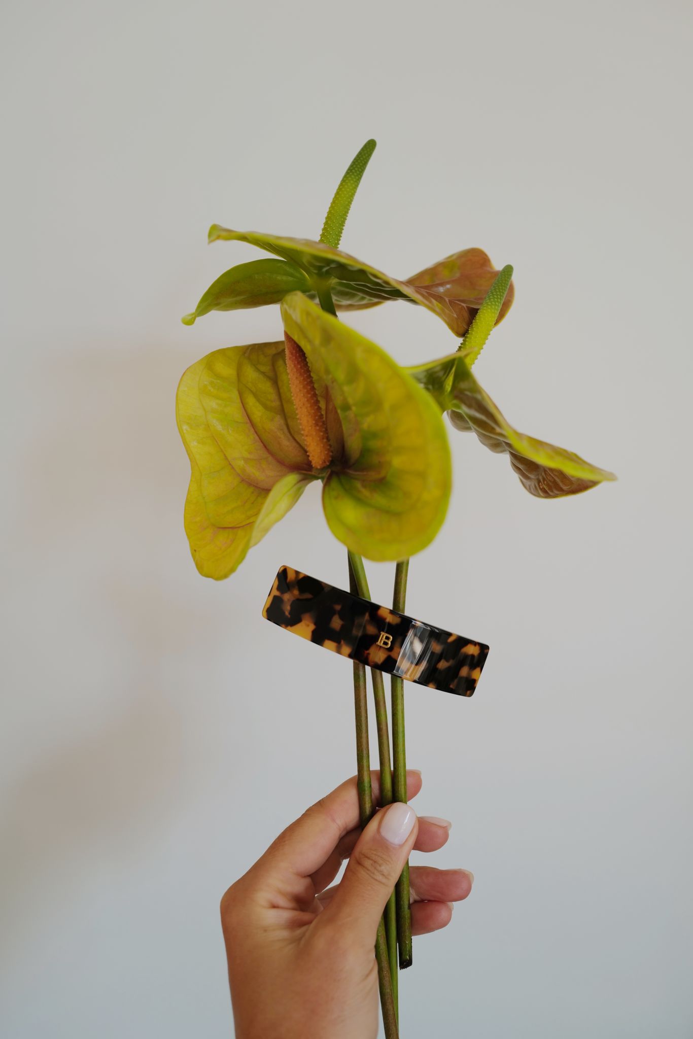 BALMAIN PARIS HAIR COUTURE HAIR COUTURE BARRETTE LARGE - BALMAIN BALMAIN PARIS HAIR COUTURE HAIR COUTURE BARRETTE LARGE - BALMAIN