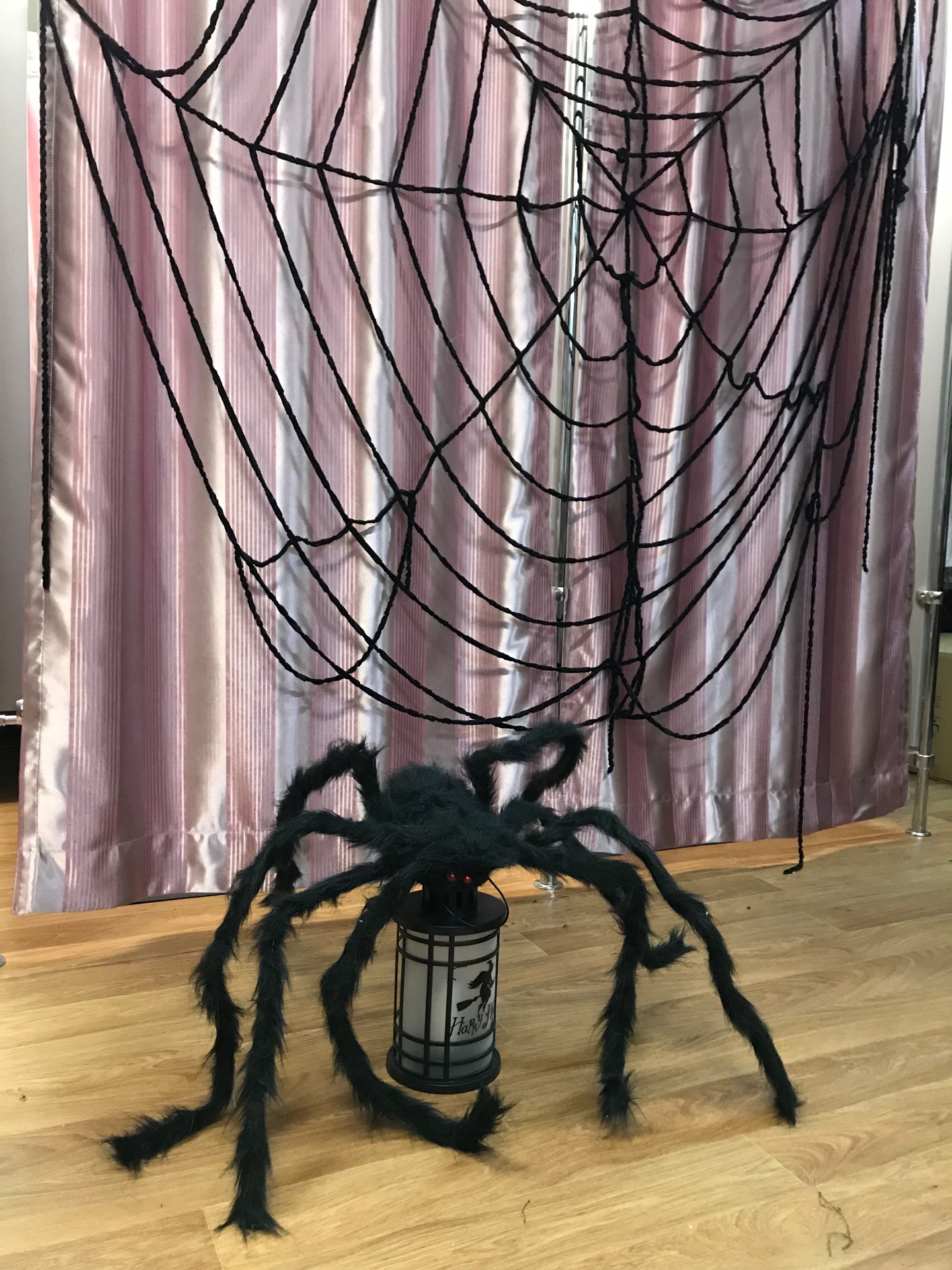 У какого паука черная паутина. Черная паутина в доме. Паук на паутине. Паутина черная с пауками. Паук у которого черная паутина.