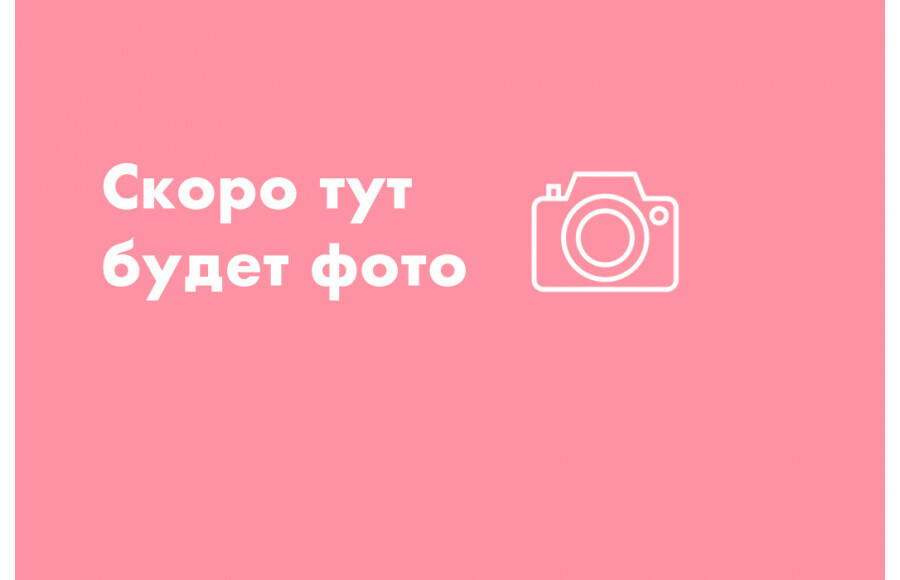 Скоро появится. Скоро здесь будет фотография. Изображение скоро появится. Скоро здесь будет фото. Здесь будет фото.