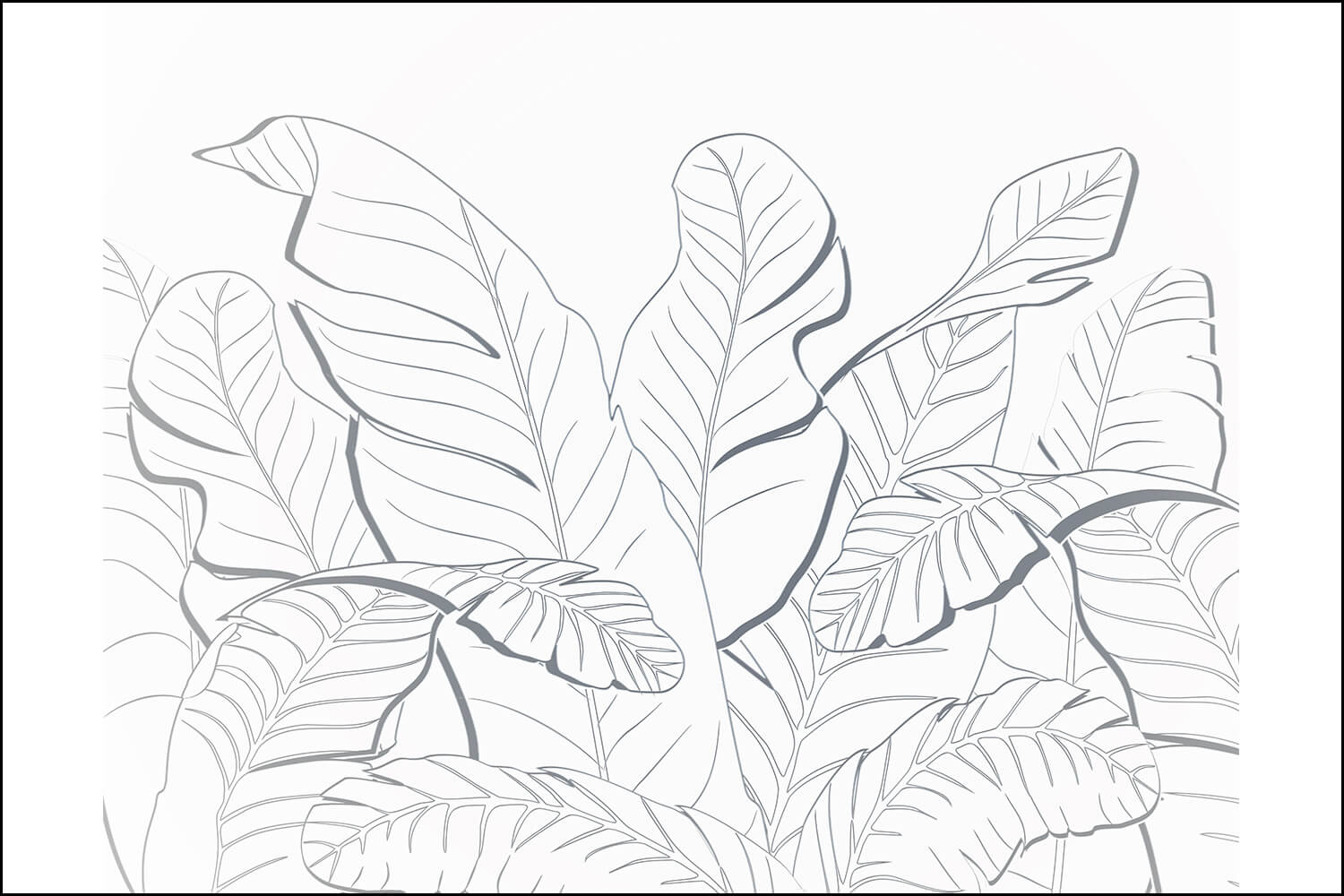 Контур обои март 2024. Обои листья. Контуры тропических листьев на стене. Фотообои контур тропические листья. Контур тропических листьев.