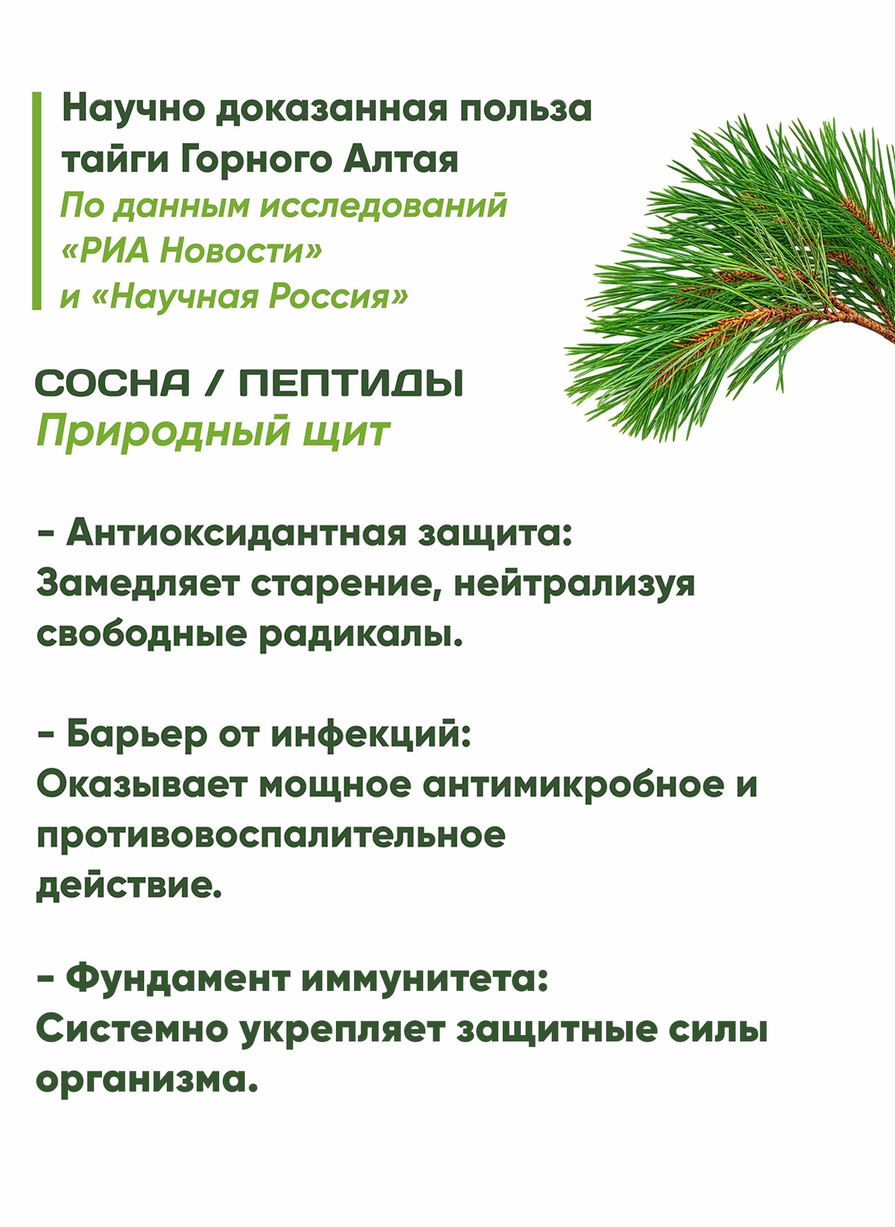 Сосна / Пептиды. Природный щит - 7МИРЪ