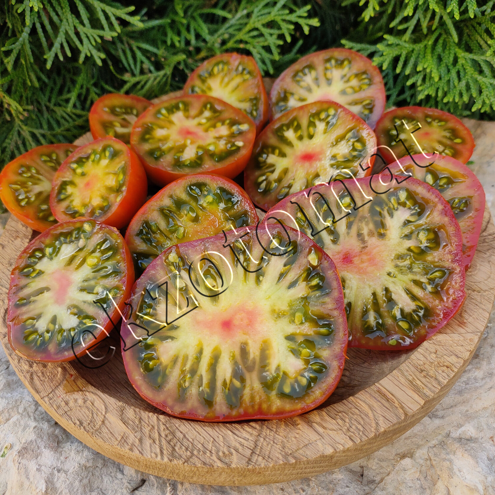 Томат Гном Пит Вайпер/Гремучая змея, (Dwarf Pite Viper)