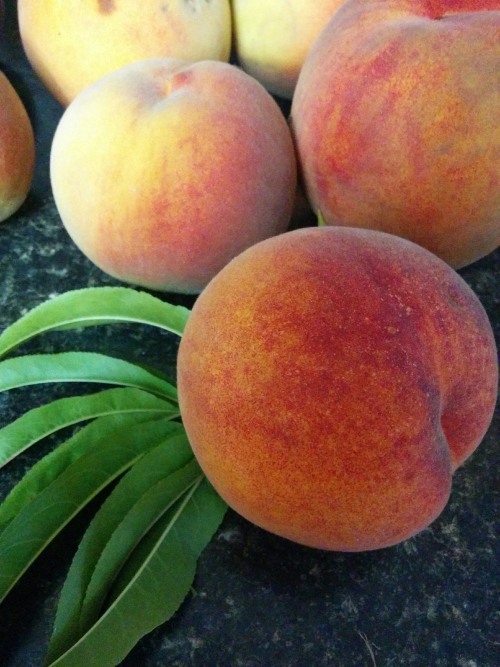 Персик майра. Сорт персика новоселковский. Какие сорта персиков. Персик сорт радужный 86. Персик глория.