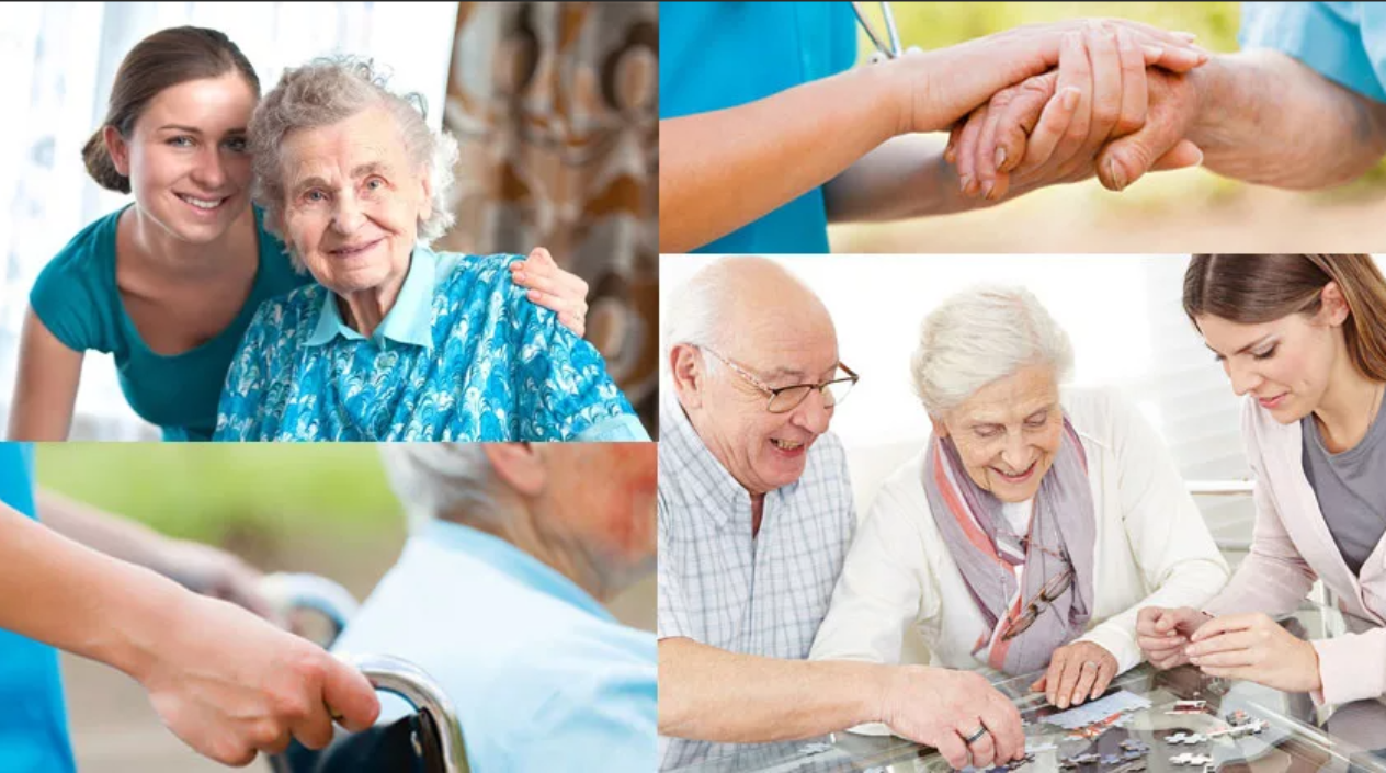 Поведение долголетие. Пожилые люди. Социальная защита пожилых. Качество жизни пожилых людей. Социальная защита семьи пожилых людей.